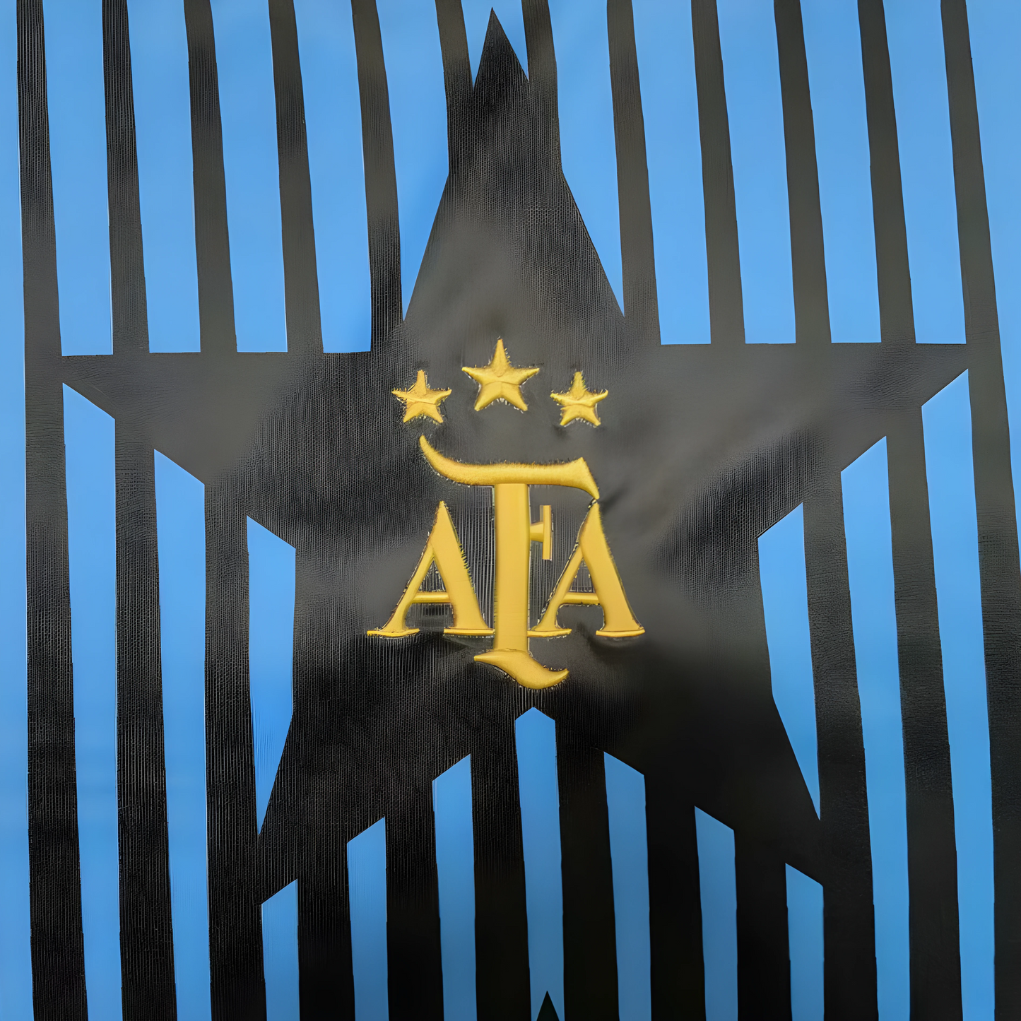 T-shirt d'avant-match Argentine 24/25