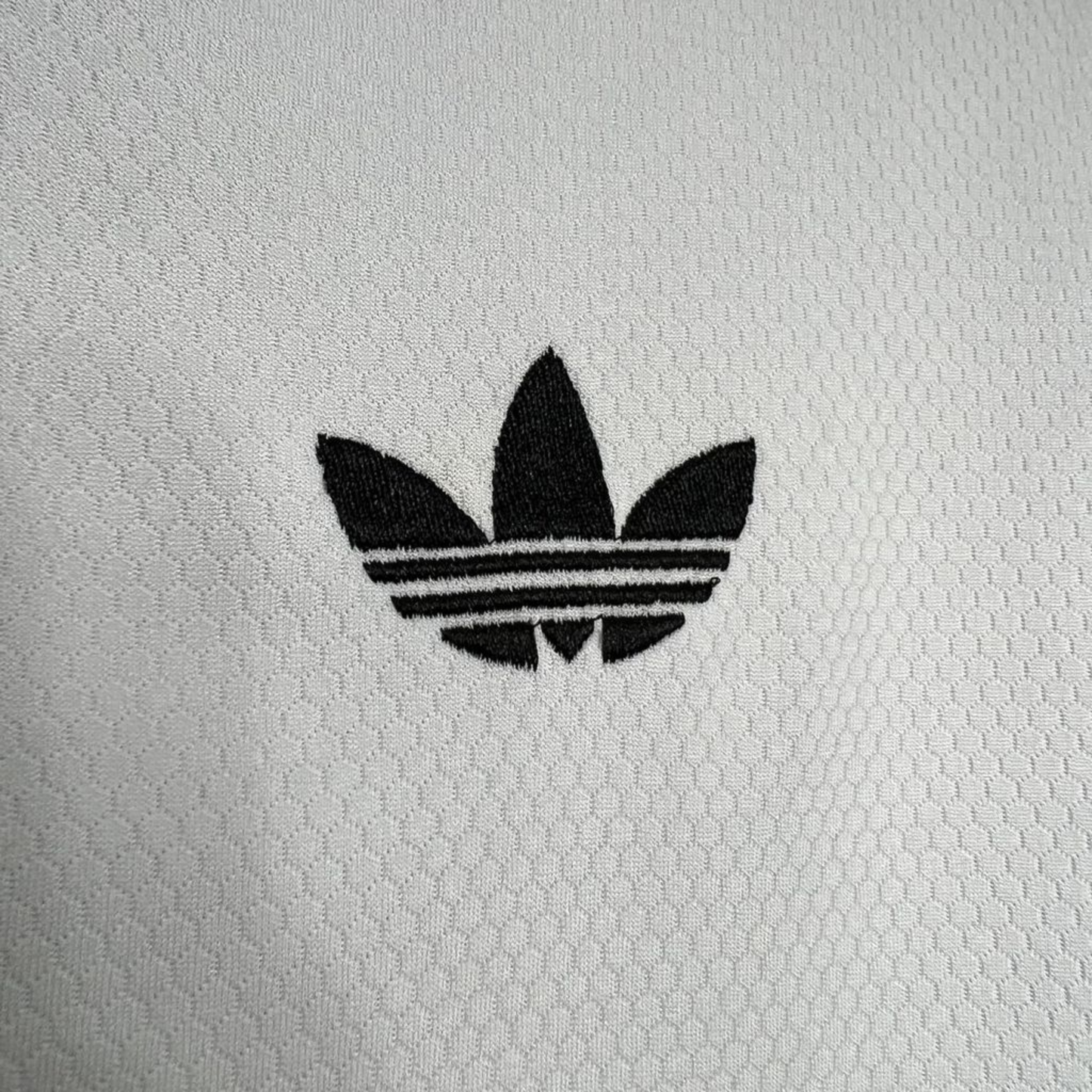 T-Shirt Pré-jogo aquecimento Juventus 24/25