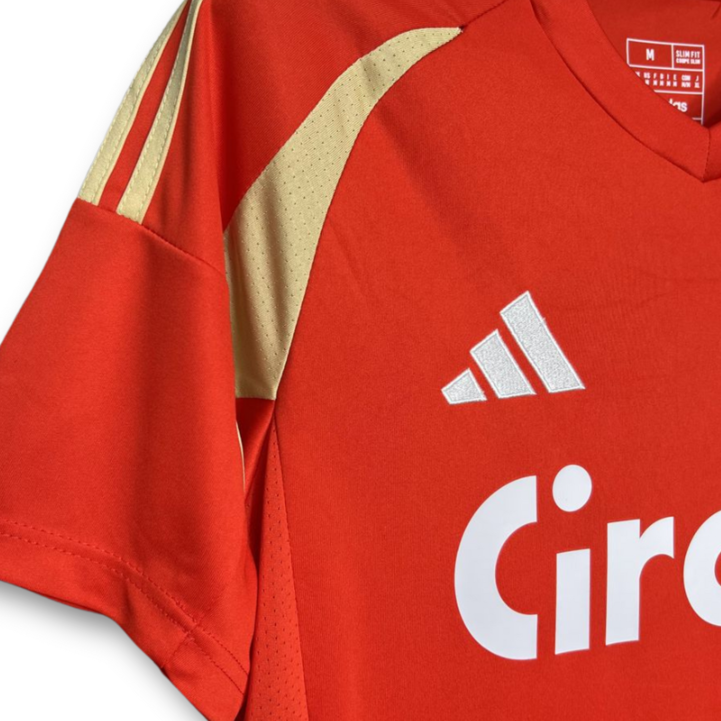T-Shirt Principal Standard Liege 24/25