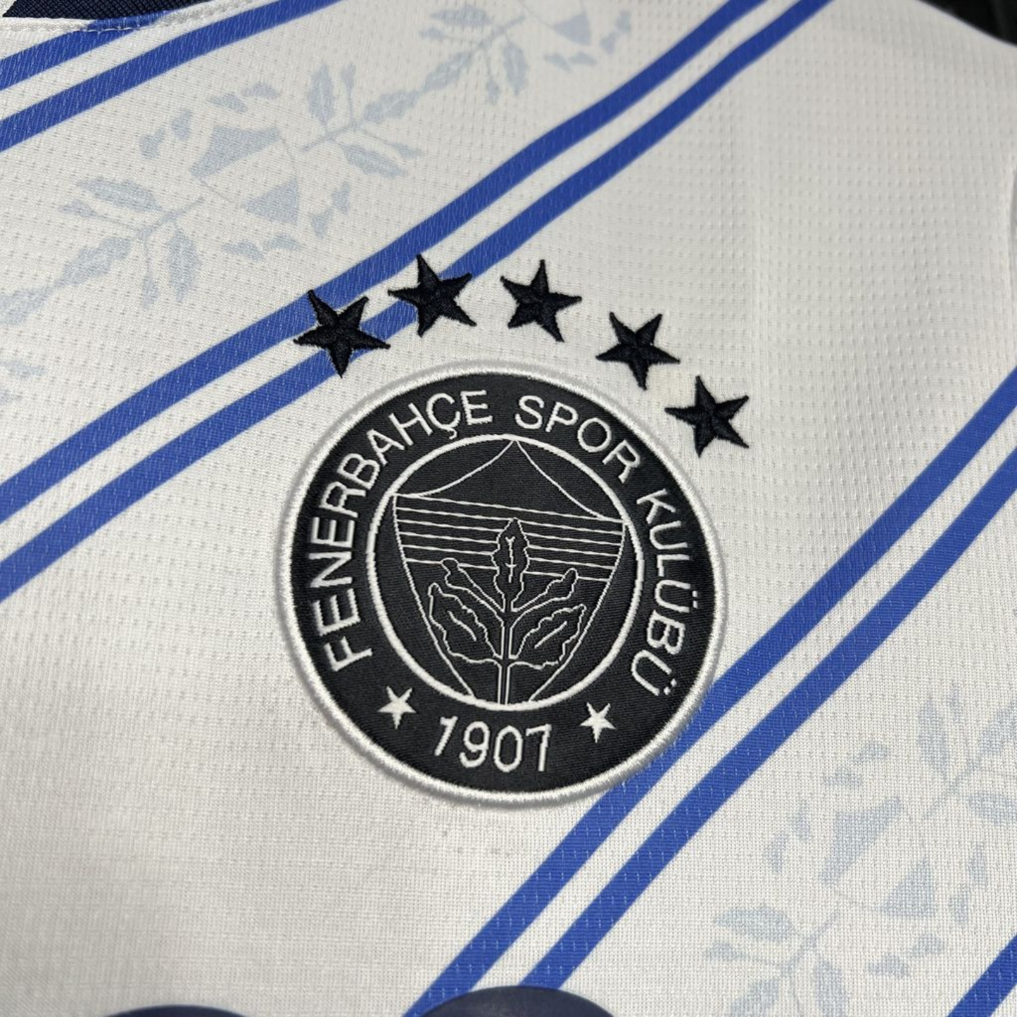 Fenerbahçe 24/25 Alternative T-Shirt