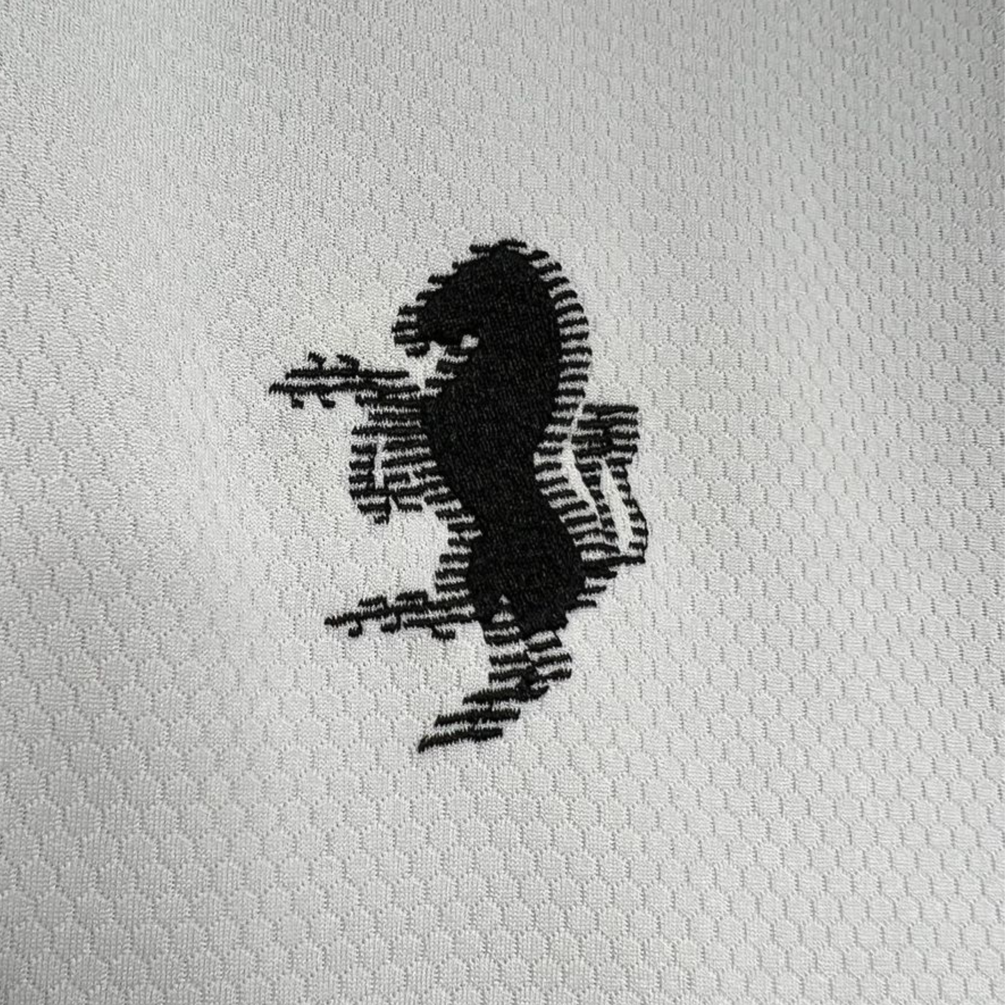 Juventus 24/25 Pre-match Warm-up T-Shirt