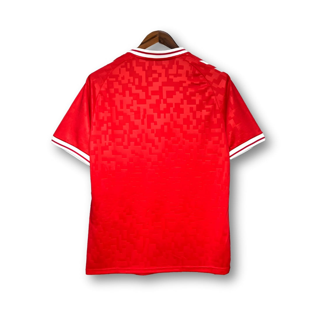 Denmark Euro 2024 Home T-Shirt