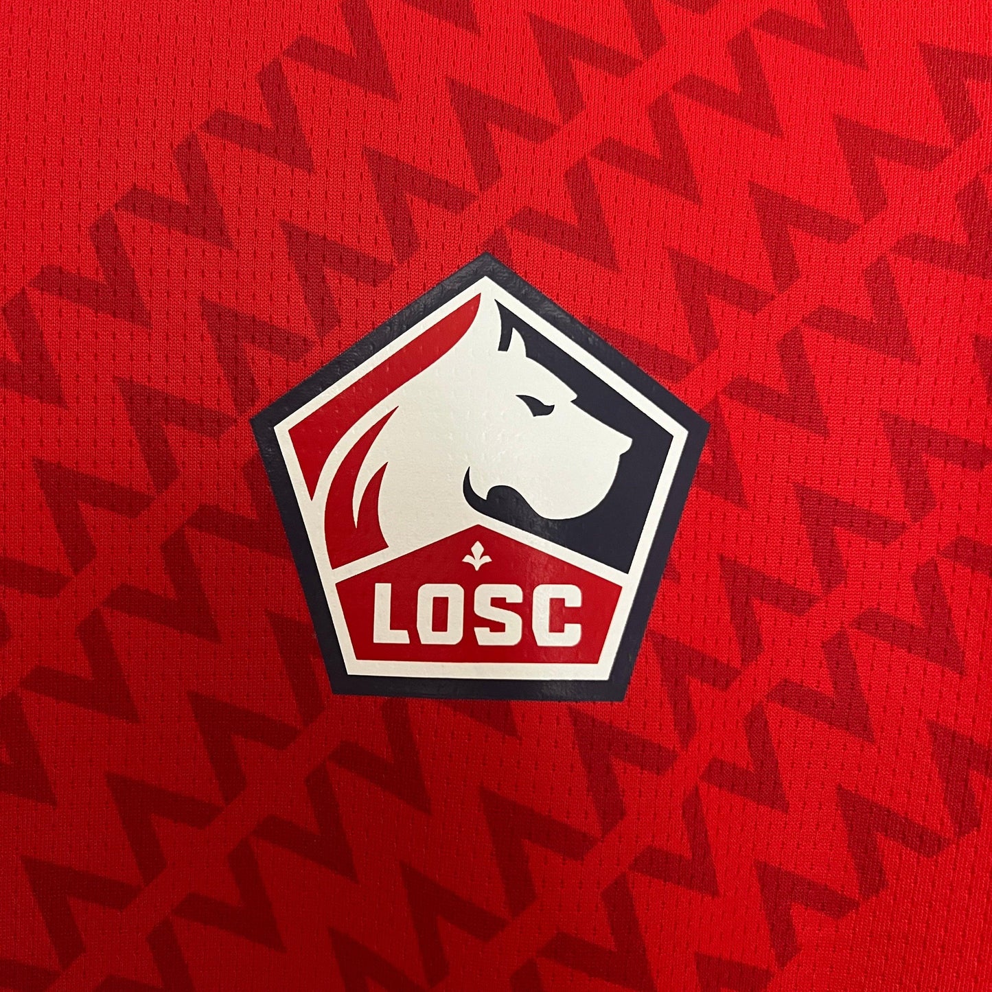 T-Shirt Principal LOSC Lille 24/25