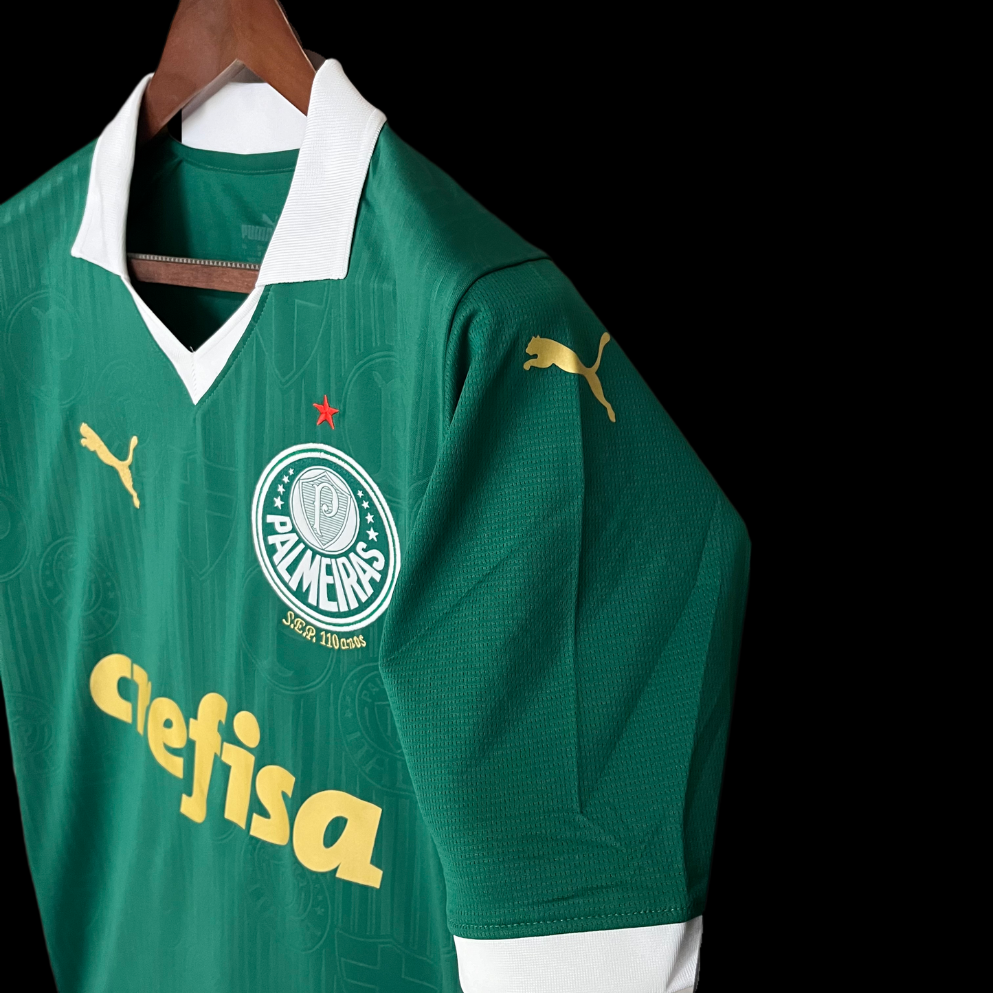 Camisola principal Palmeiras 24/25