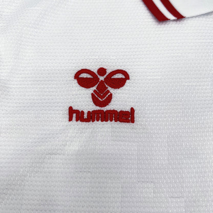 T-Shirt Alternativa Dinamarca Euro 2024